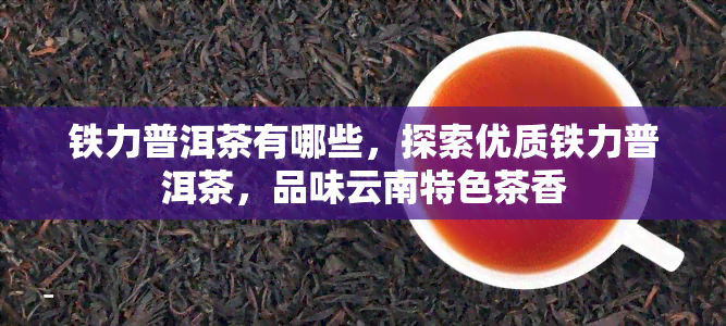 铁力普洱茶有哪些，探索优质铁力普洱茶，品味云南特色茶香