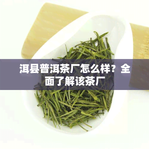 洱县普洱茶厂怎么样？全面了解该茶厂