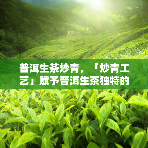 普洱生茶炒青，「炒青工艺」赋予普洱生茶独特的口感与香气