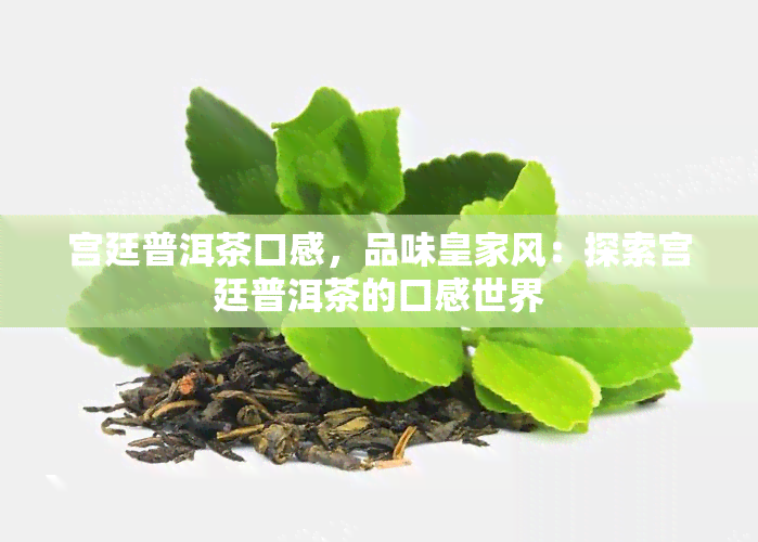 宫廷普洱茶口感，品味皇家风：探索宫廷普洱茶的口感世界