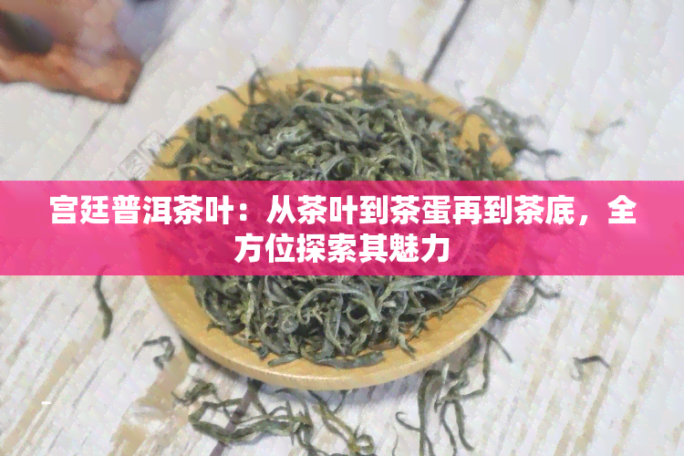 宫廷普洱茶叶：从茶叶到茶蛋再到茶底，全方位探索其魅力