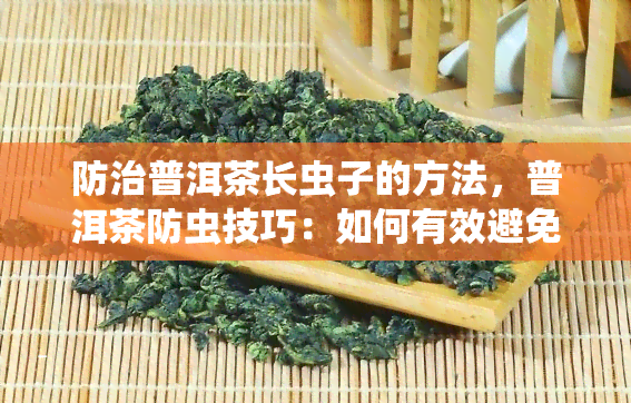 防治普洱茶长虫子的方法，普洱茶防虫技巧：如何有效避免茶叶生虫？