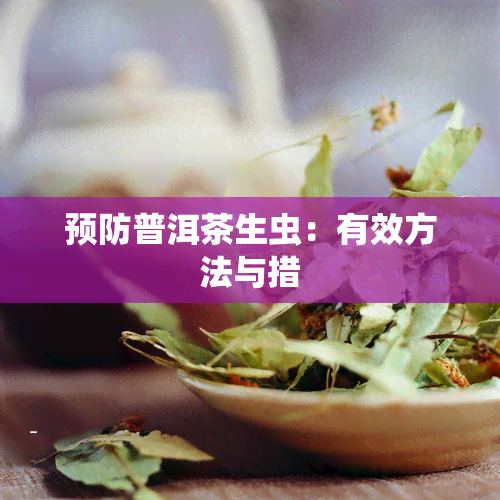 预防普洱茶生虫：有效方法与措