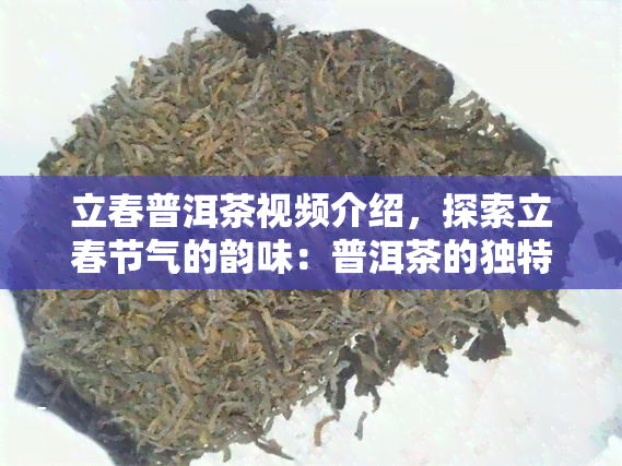 立春普洱茶视频介绍，探索立春节气的韵味：普洱茶的独特魅力