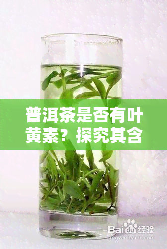 普洱茶是否有叶黄素？探究其含量