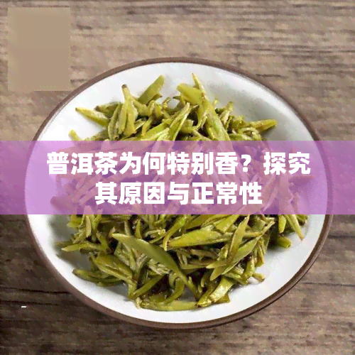 普洱茶为何特别香？探究其原因与正常性