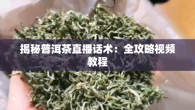 揭秘普洱茶直播话术：全攻略视频教程