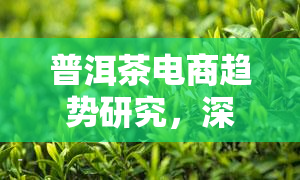 普洱茶电商趋势研究，深度解析：普洱茶电商市场的未来发展趋势