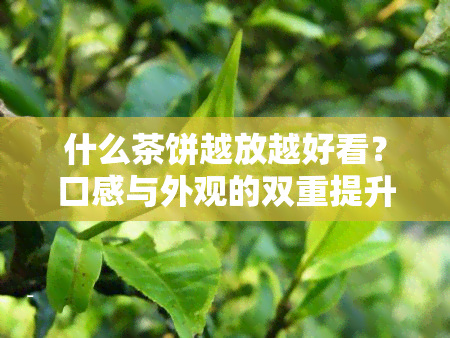 什么茶饼越放越好看？口感与外观的双重提升！