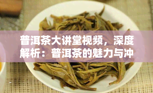 普洱茶大讲堂视频，深度解析：普洱茶的魅力与冲泡技巧——普洱茶大讲堂视频全集