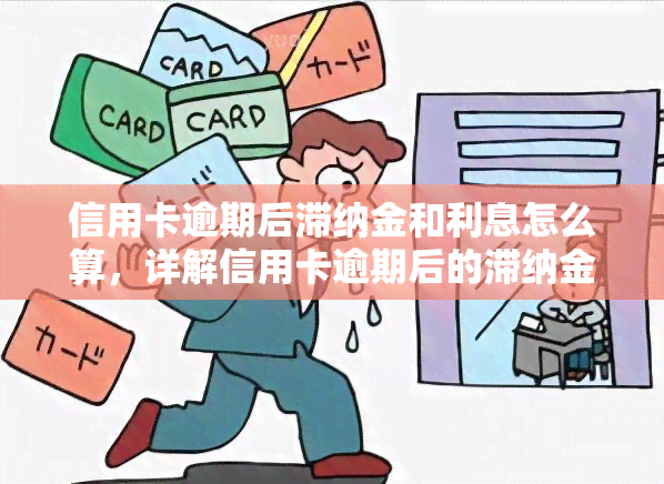 信用卡逾期后滞纳金和利息怎么算，详解信用卡逾期后的滞纳金和利息计算方法