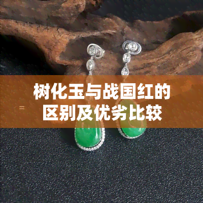 树化玉与战国红的区别及优劣比较