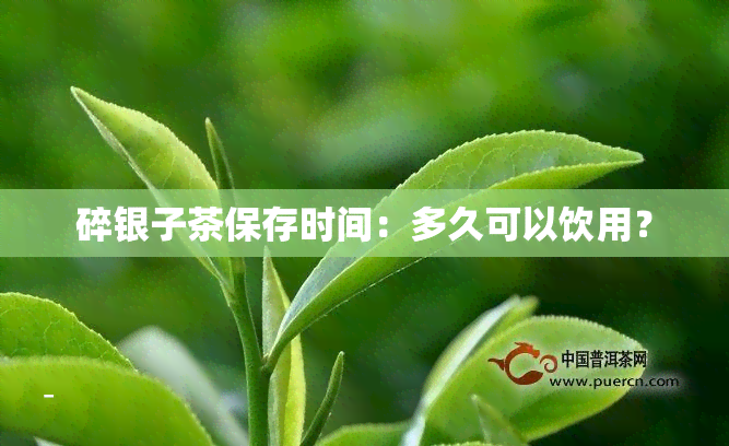 碎银子茶保存时间：多久可以饮用？