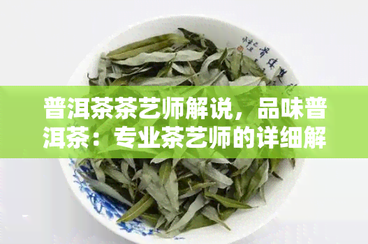 普洱茶茶艺师解说，品味普洱茶：专业茶艺师的详细解说