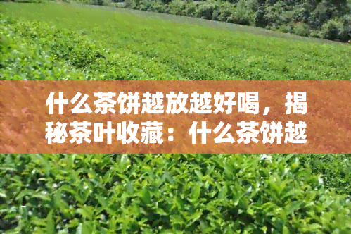 什么茶饼越放越好喝，揭秘茶叶收藏：什么茶饼越放越好喝？