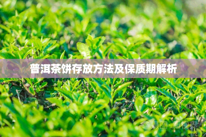 普洱茶饼存放方法及保质期解析