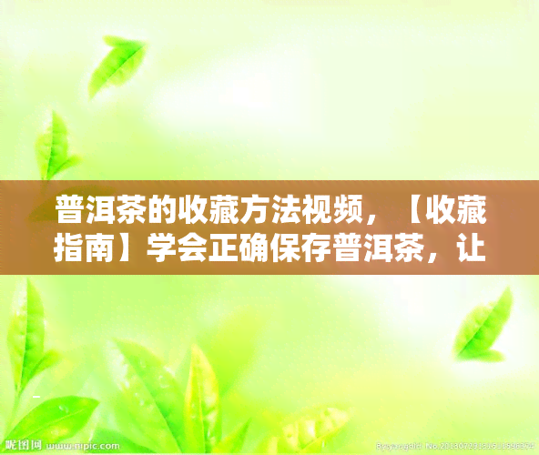 普洱茶的收藏方法视频，【收藏指南】学会正确保存普洱茶，让你的茶叶更值钱！