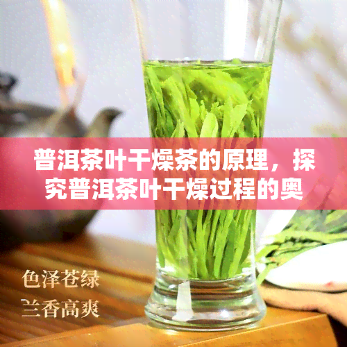 普洱茶叶干燥茶的原理，探究普洱茶叶干燥过程的奥秘：原理解析与实践应用