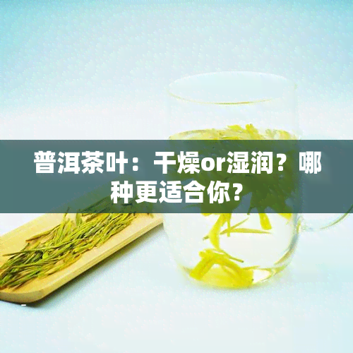 普洱茶叶：干燥or湿润？哪种更适合你？