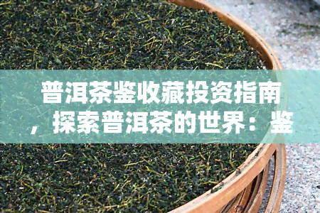 普洱茶鉴收藏投资指南，探索普洱茶的世界：鉴、收藏与投资全面指南