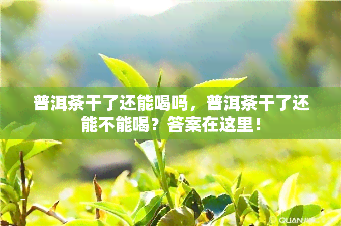 普洱茶干了还能喝吗，普洱茶干了还能不能喝？答案在这里！