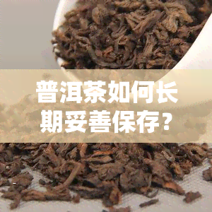 普洱茶如何长期妥善保存？详细指南！