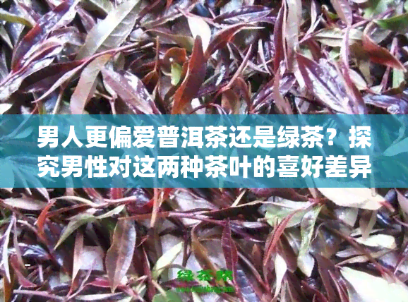 男人更偏爱普洱茶还是绿茶？探究男性对这两种茶叶的喜好差异