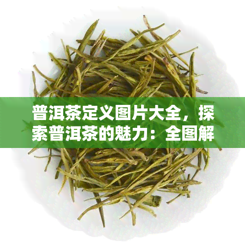 普洱茶定义图片大全，探索普洱茶的魅力：全图解析普洱茶定义与分类