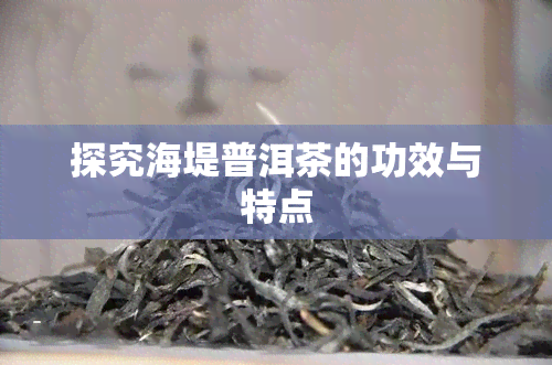 探究海堤普洱茶的功效与特点