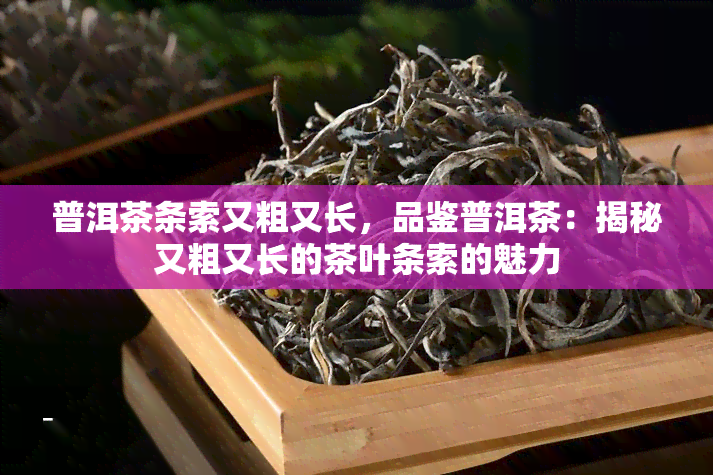 普洱茶条索又粗又长，品鉴普洱茶：揭秘又粗又长的茶叶条索的魅力