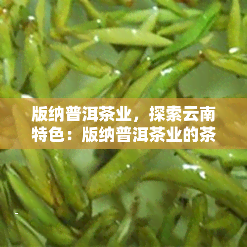 版纳普洱茶业，探索云南特色：版纳普洱茶业的茶叶制作与品尝体验