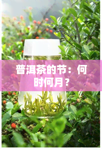 普洱茶的节：何时何月？