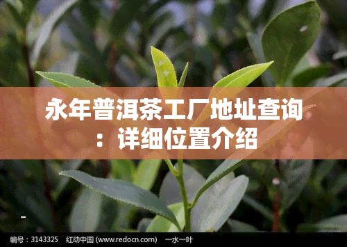 永年普洱茶工厂地址查询：详细位置介绍