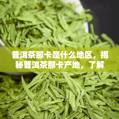 普洱茶那卡是什么地区，揭秘普洱茶那卡产地，了解这款茶叶的由来和特点