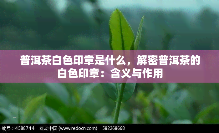 普洱茶白色印章是什么，解密普洱茶的白色印章：含义与作用