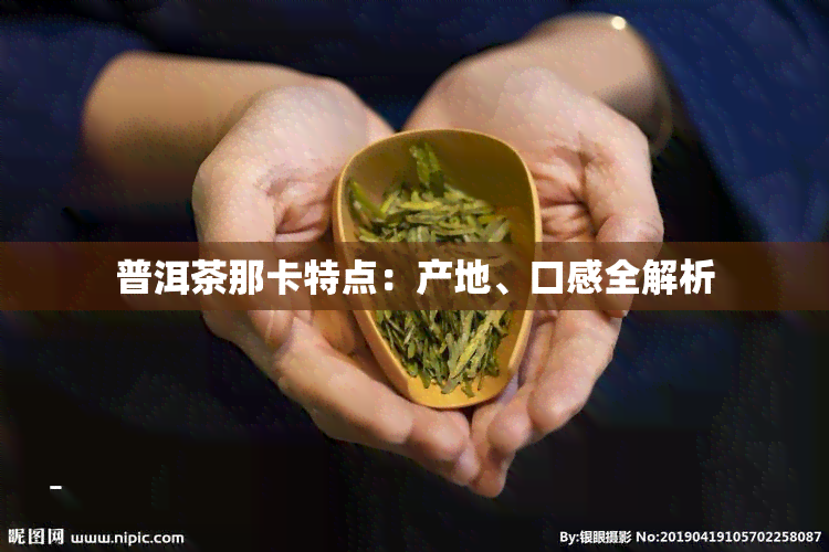 普洱茶那卡特点：产地、口感全解析