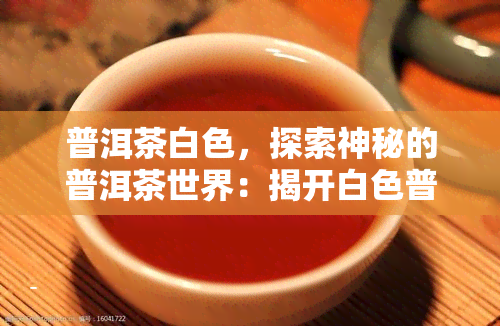 普洱茶白色，探索神秘的普洱茶世界：揭开白色普洱茶的面纱