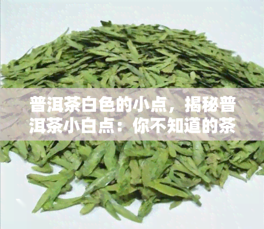 普洱茶白色的小点，揭秘普洱茶小白点：你不知道的茶叶秘密