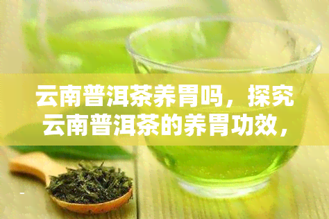 云南普洱茶养胃吗，探究云南普洱茶的养胃功效，你喝对了吗？