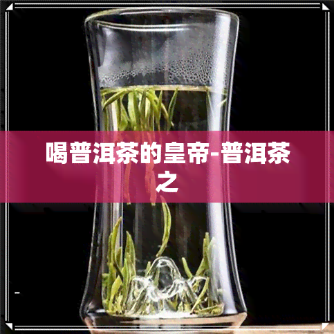 喝普洱茶的皇帝-普洱茶之