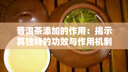 普洱茶添加的作用：揭示其独特的功效与作用机制