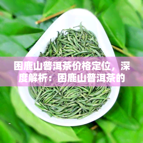 困鹿山普洱茶价格定位，深度解析：困鹿山普洱茶的价格定位与市场趋势