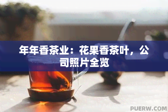 年年香茶业：花果香茶叶，公司照片全览