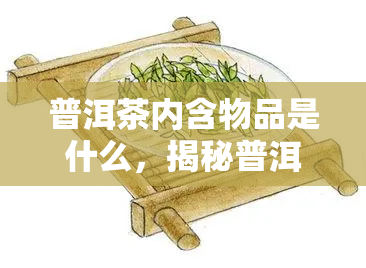 普洱茶内含物品是什么，揭秘普洱茶的内含物：你不知道的秘密