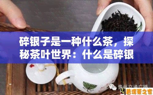 碎银子是一种什么茶，探秘茶叶世界：什么是碎银子茶？