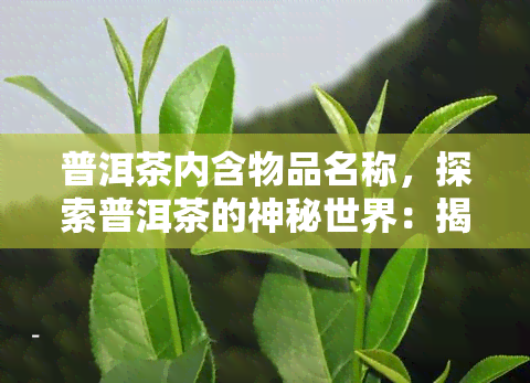 普洱茶内含物品名称，探索普洱茶的神秘世界：揭秘其独特内含物