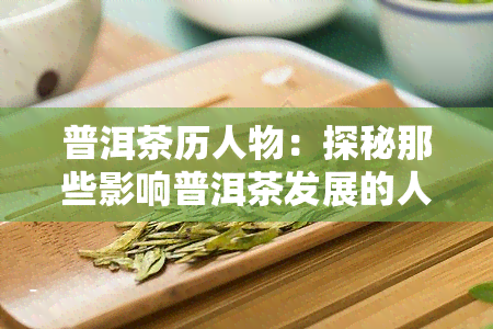 普洱茶历人物：探秘那些影响普洱茶发展的人物