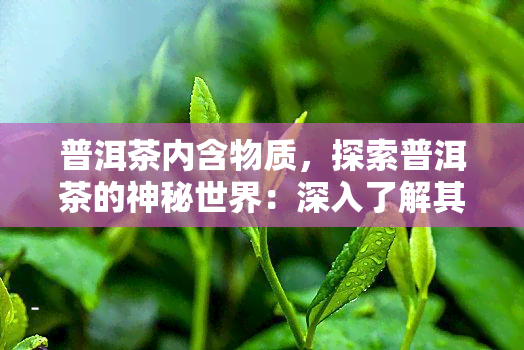 普洱茶内含物质，探索普洱茶的神秘世界：深入了解其内含物质