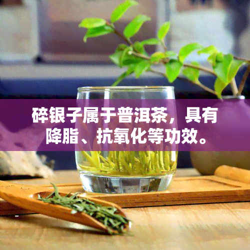 碎银子属于普洱茶，具有降脂、抗氧化等功效。