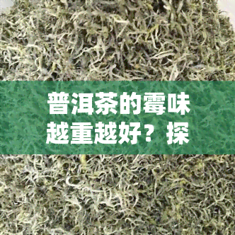 普洱茶的霉味越重越好？探究其原因与影响